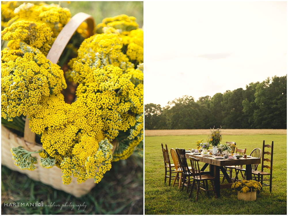 Raleigh Elopement Photographer