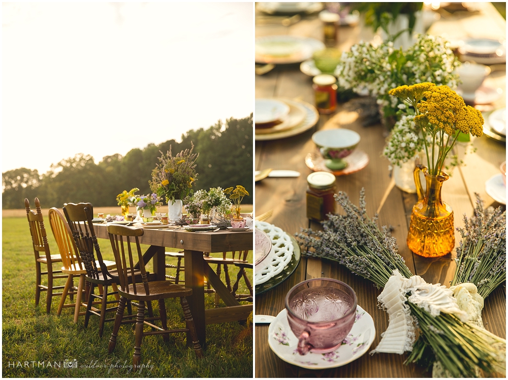 North Carolina Elopement Eloped