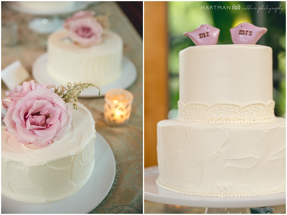 Durham NC Elegant Simple Wedding Cake