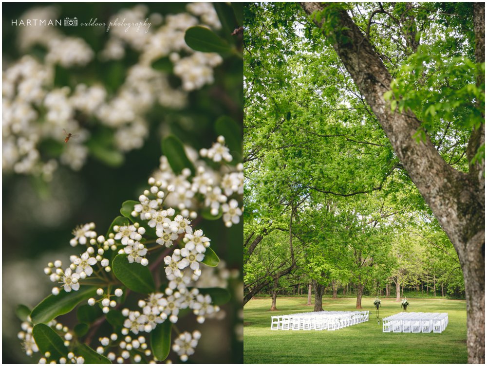 Magnolia Manor Pecan Grove Outdoor Ceremony