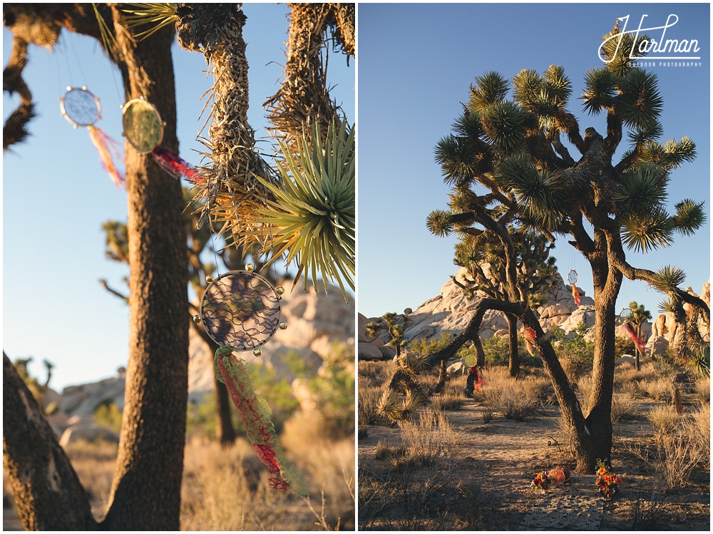 Joshua Tree National Park Wedding