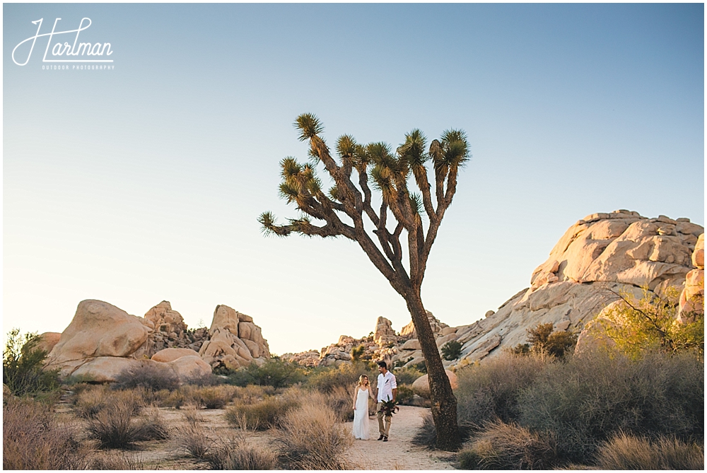 Destination Elopement Photographer Joshua Tree