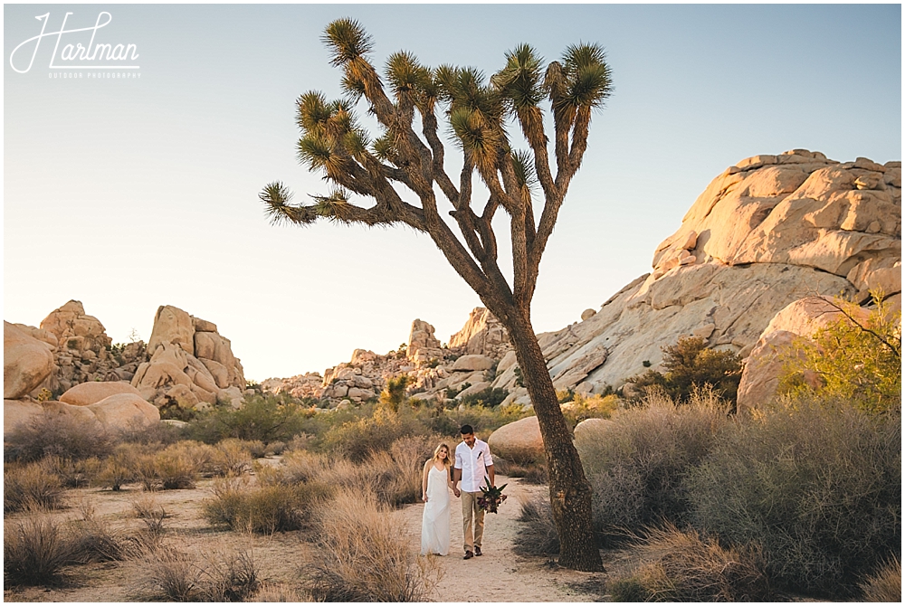 Destination Elopement Photographer Joshua Tree