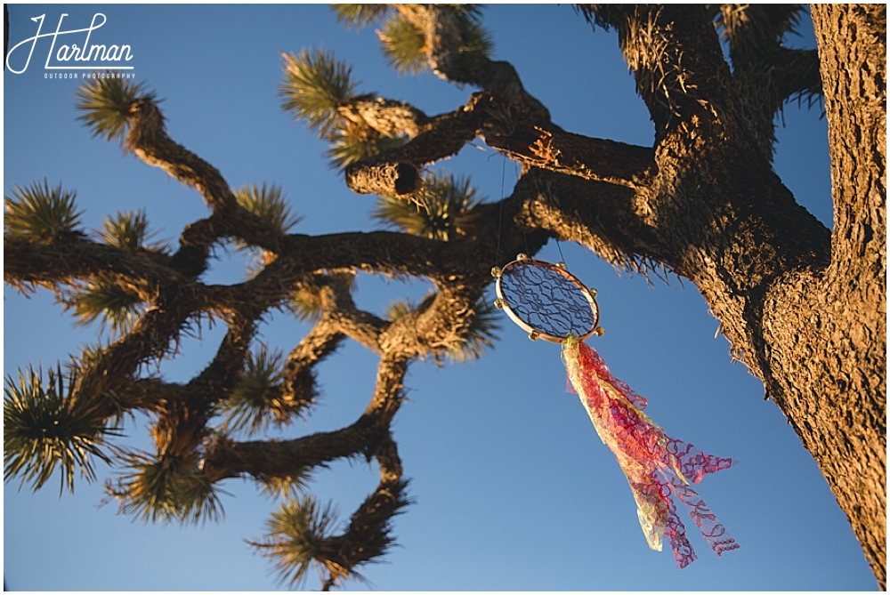 Joshua Tree National Park Elopement