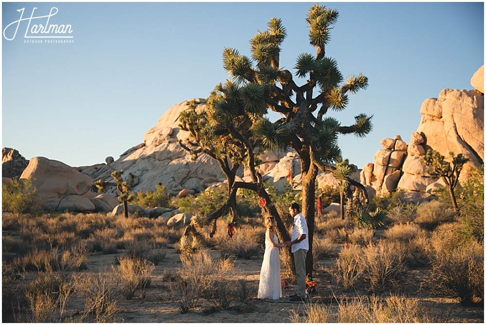 Joshua Tree California Elopement Photographer