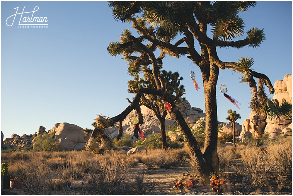 Joshua Tree National Park Elopement