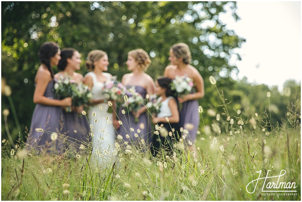 NC Wedding in open field meadow
