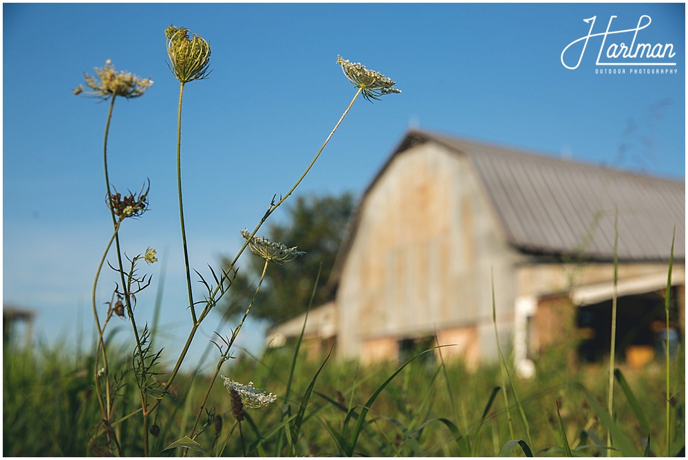 Starlight Meadow North Carolina Wedding Photographer