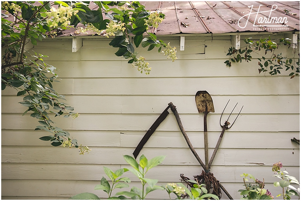 Asheville Greensboro Elopement Photographer 0003