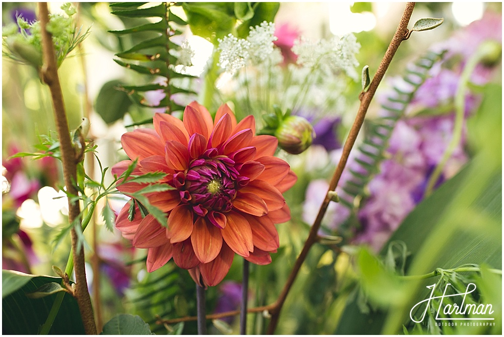 Asheville Greensboro Elopement Photographer 0032