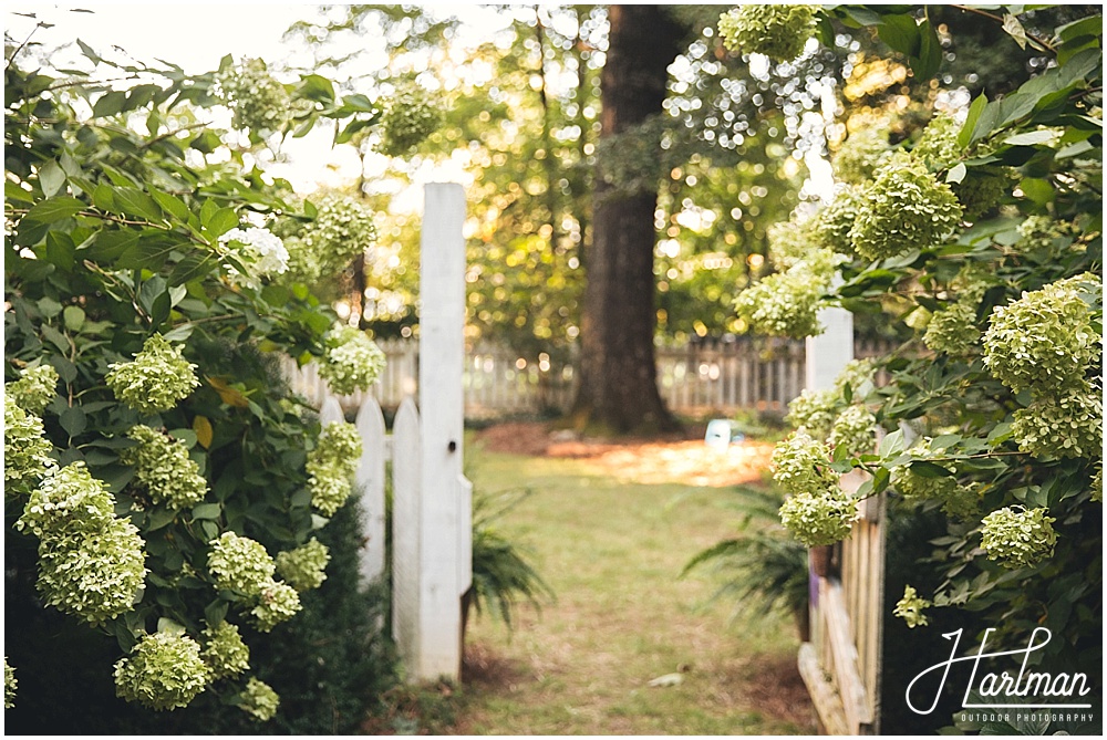 Asheville Greensboro Elopement Photographer 0061