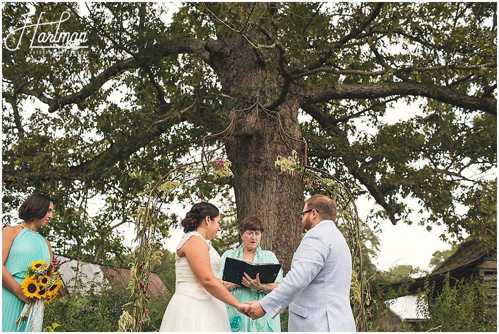 Inn at Celebrity Dairy Ceremony oak Tree