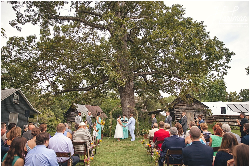 Inn at Celebrity Dairy Oak tree outdoor ceremony