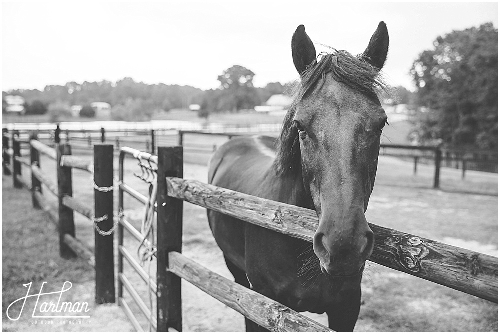 North Carolina Horse Farm Wedding Venue