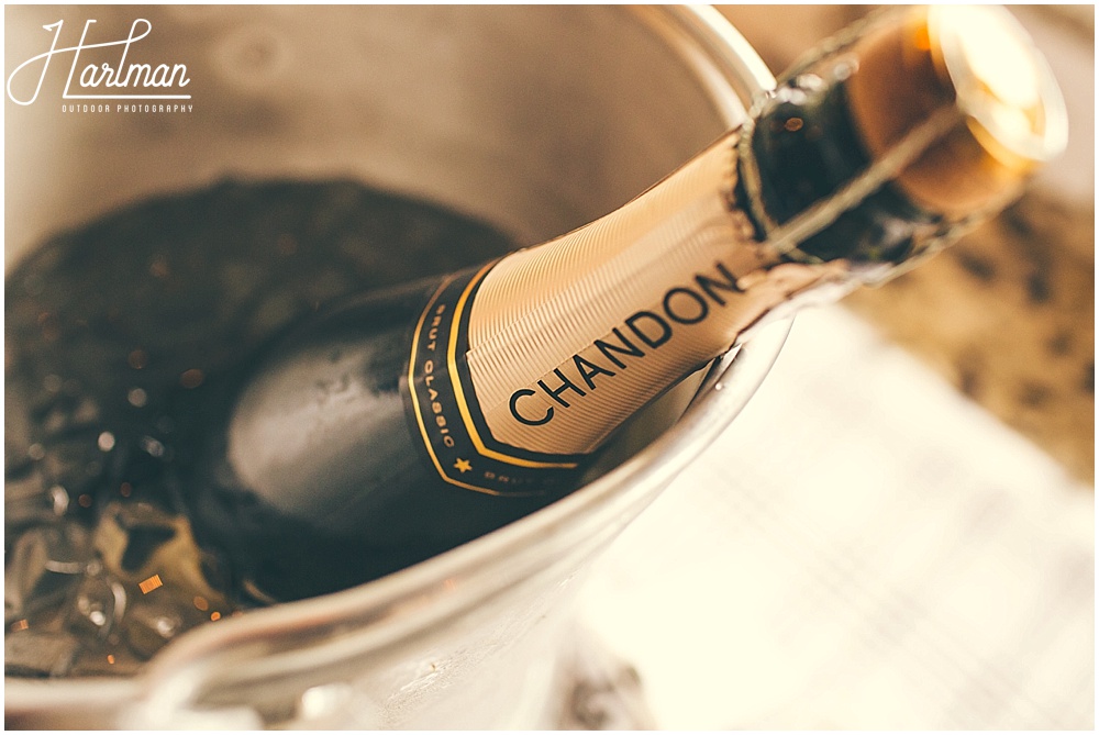 Chandon Champagne 