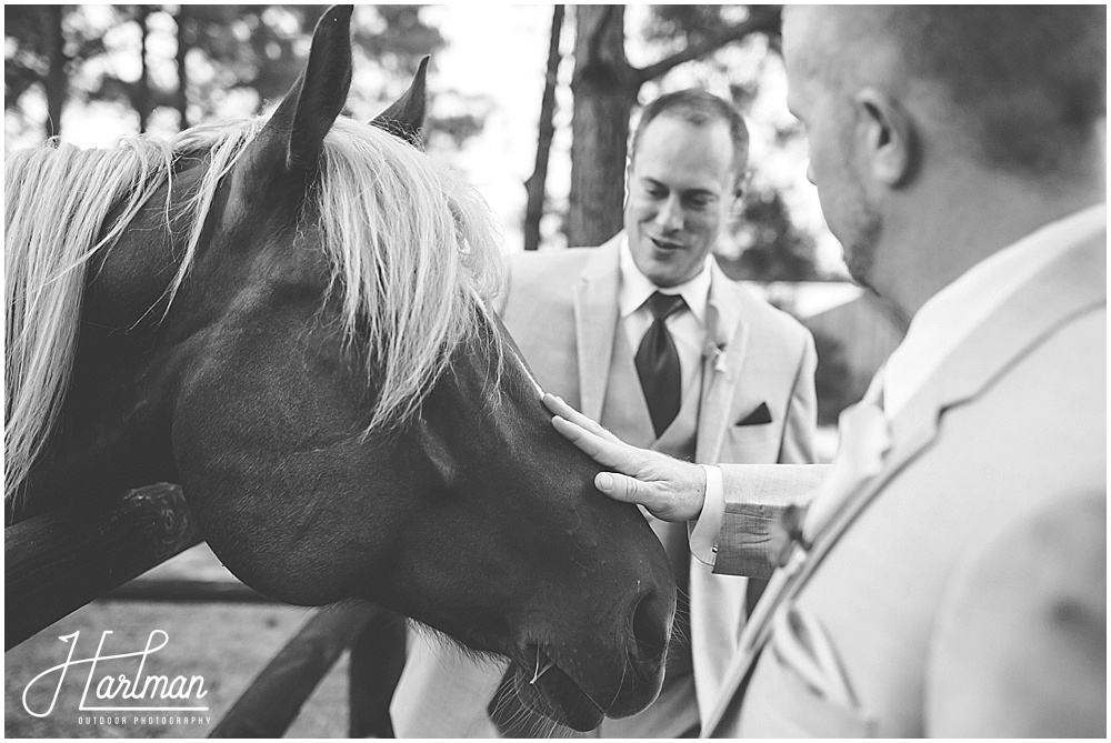 Raleigh Clayton Asheville Horse Farm Wedding