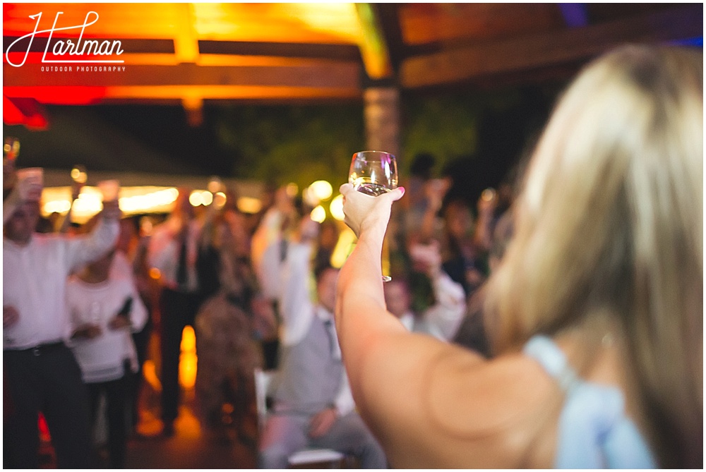 Raleigh Durham asheville wedding toast