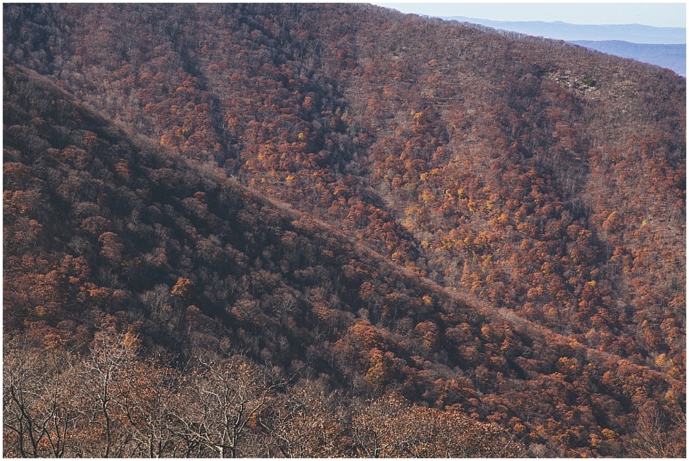 Shenandoah National Park