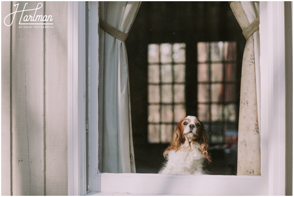 Asheville North Carolina Elopement Photographer 0460