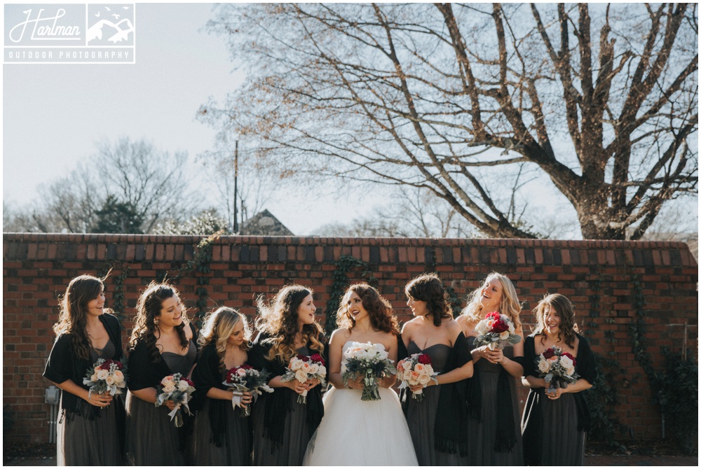 Blue Ridge Mountains Elopement Wedding photographer