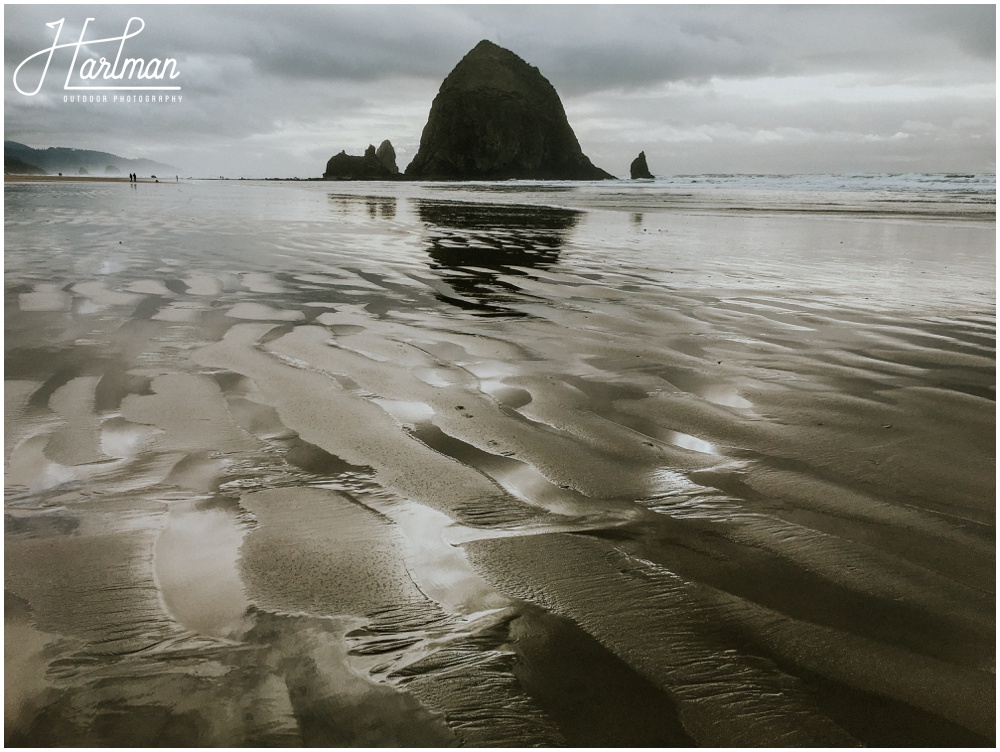 Ecola State Park Elopement Engagement_0002