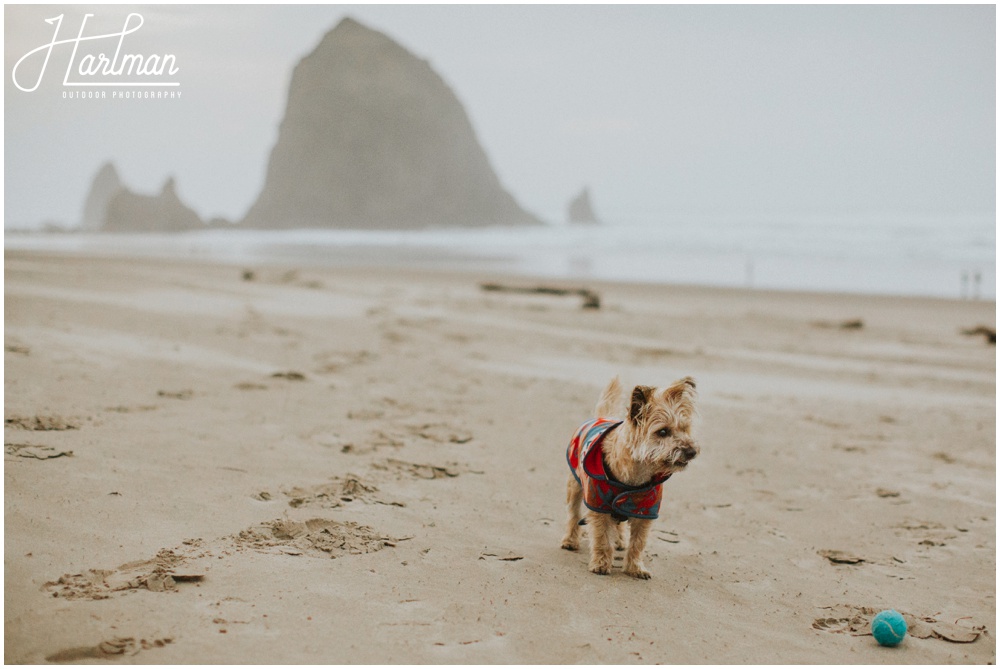 Cannon Beach Ecola Wedding Elopement_0004