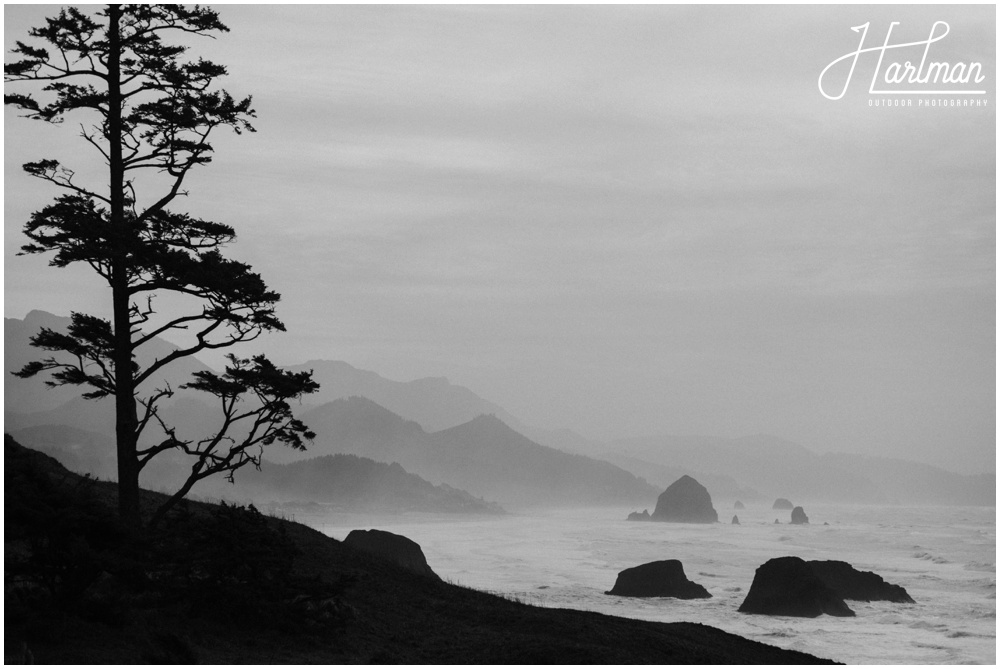 Ecola State Park Elopement Engagement 0008