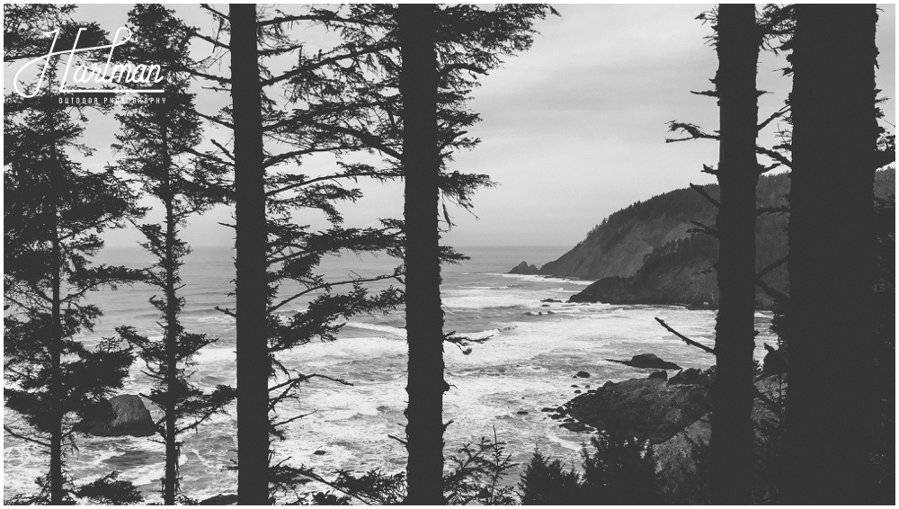 Ecola State Park Elopement Engagement 0042