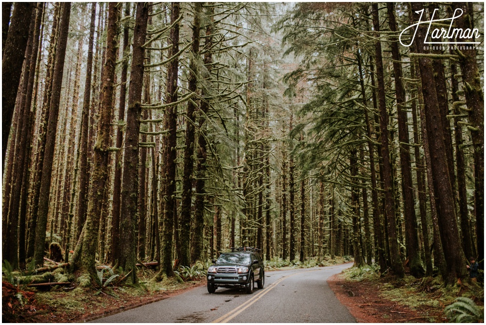 Hoh Rainforest Wedding Engagement Photographer 0172