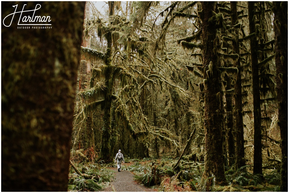 Hoh Rainforest Wedding Engagement Photographer 0182