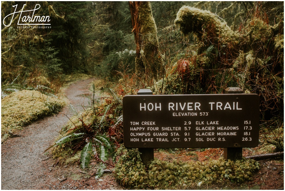 Hoh Rainforest Wedding Engagement Photographer 0190