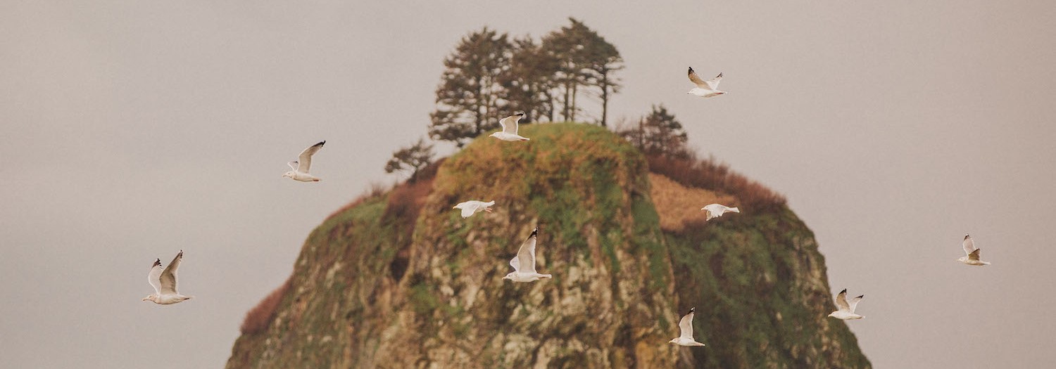 La Push | Washington