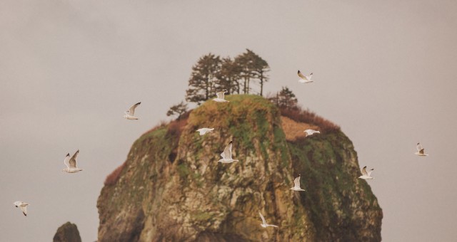 La Push | Washington