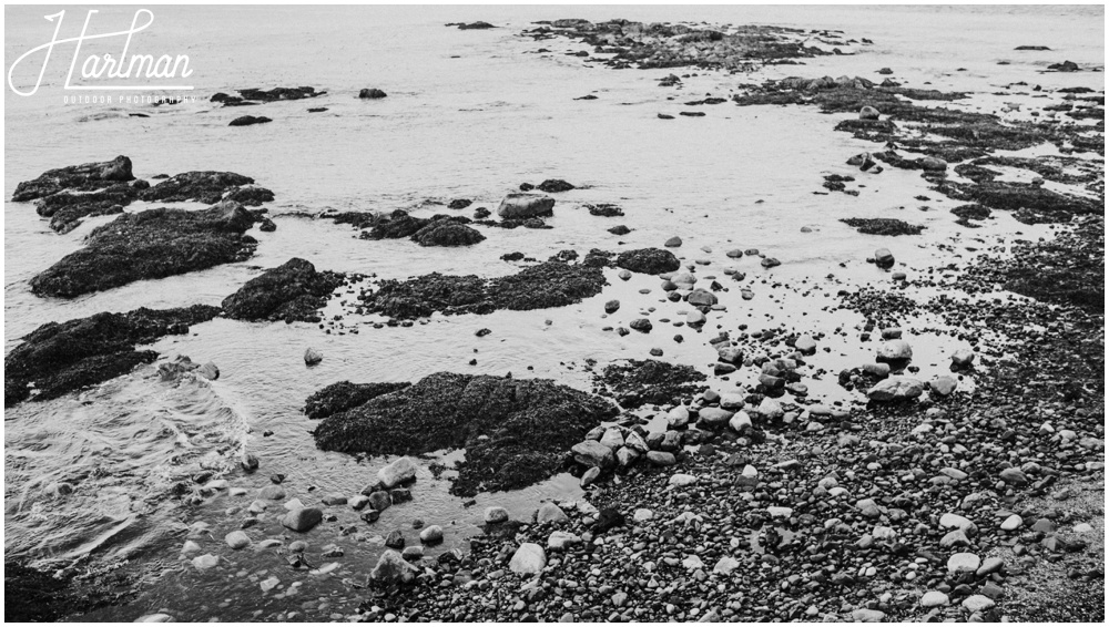 Olympic NP Wedding Elopement Photographer 0263