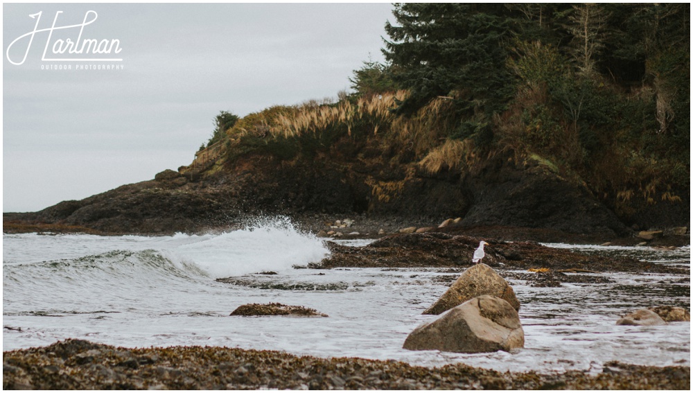 Olympic Peninsula Wedding Elopement Photographer  0266