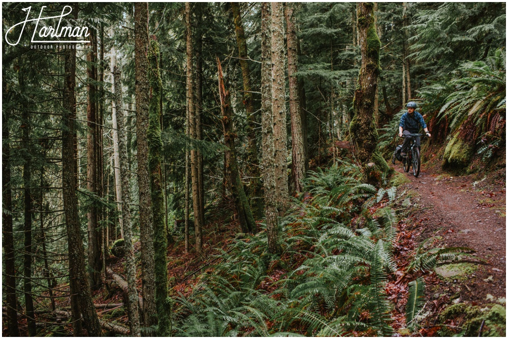 Mountain Biking Olympic National Park