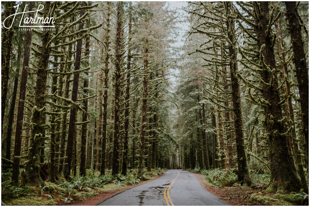 Olympic National Park wedding elopement photographer 0211