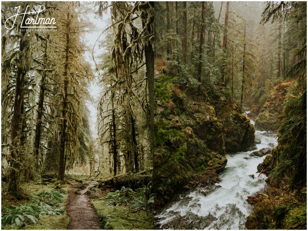 Olympic National Park wedding elopement photographer 0215