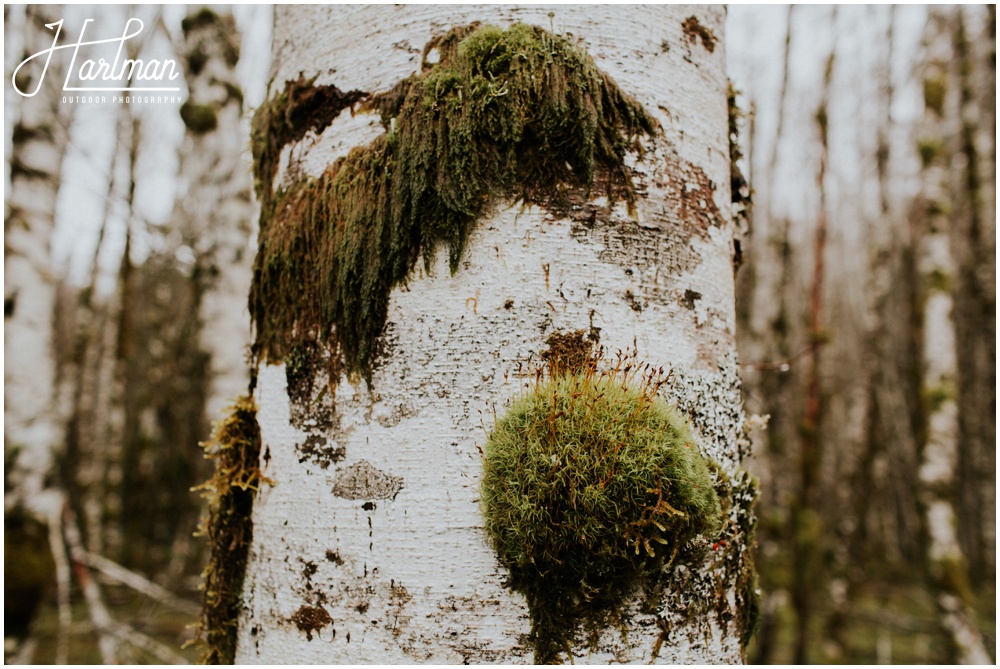 Olympic National Park wedding elopement photographer 0220