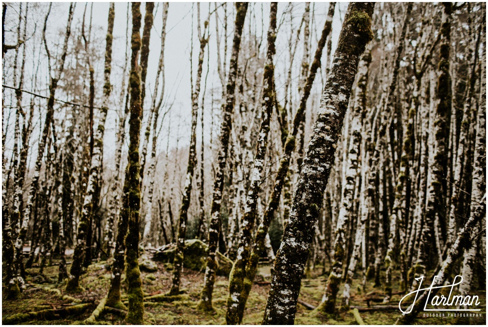 Olympic National Park wedding elopement photographer 0221