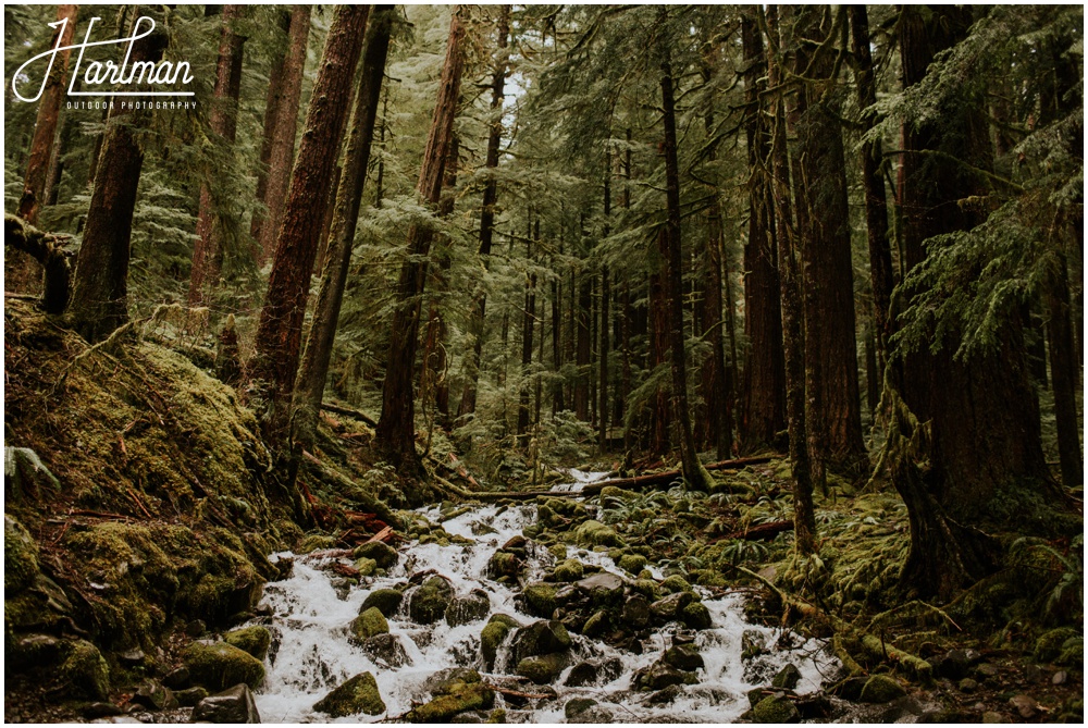 Olympic National Park wedding elopement photographer 0226