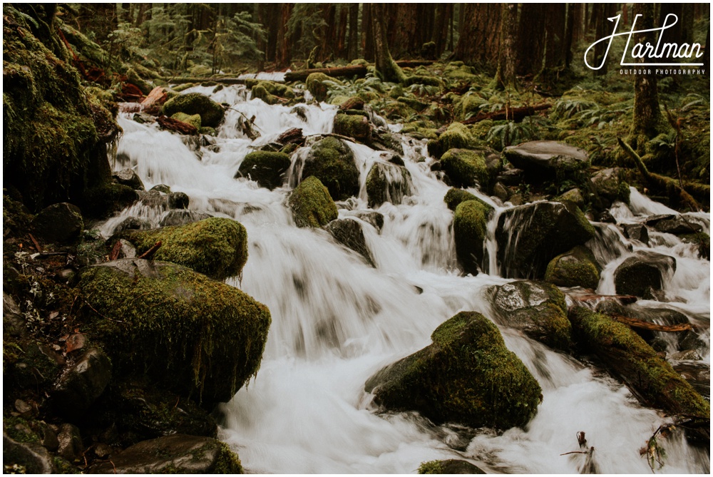 Olympic National Park wedding elopement photographer 0227