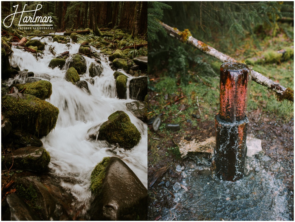 Olympic National Park wedding elopement photographer 0228