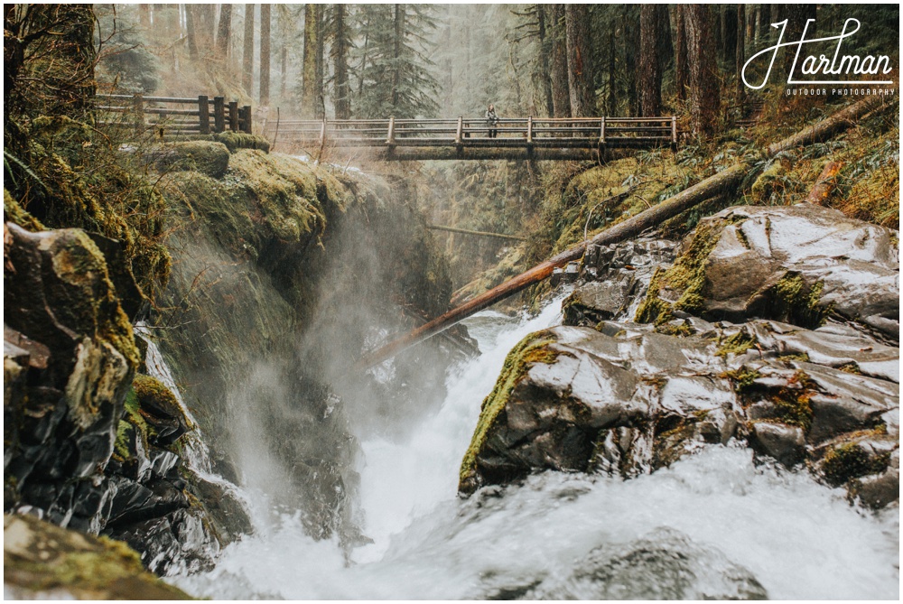 Olympic National Park wedding elopement photographer 0232