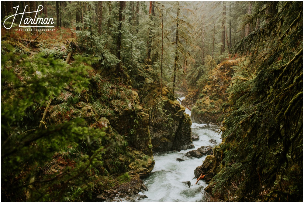 Olympic National Park wedding elopement photographer 0233