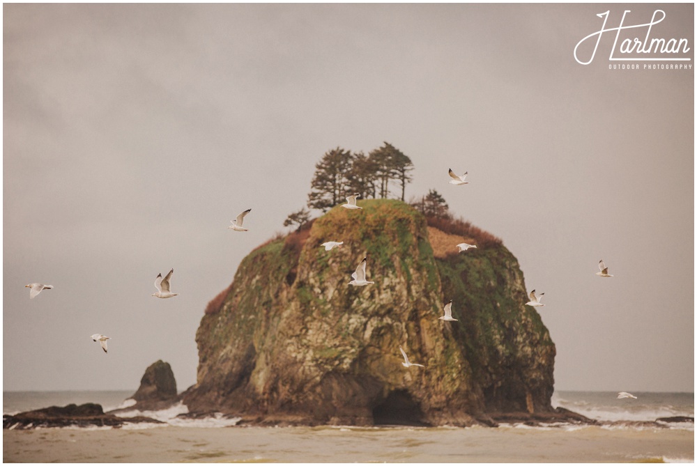 Washington Sailboat Ferry Wedding Elopement 266