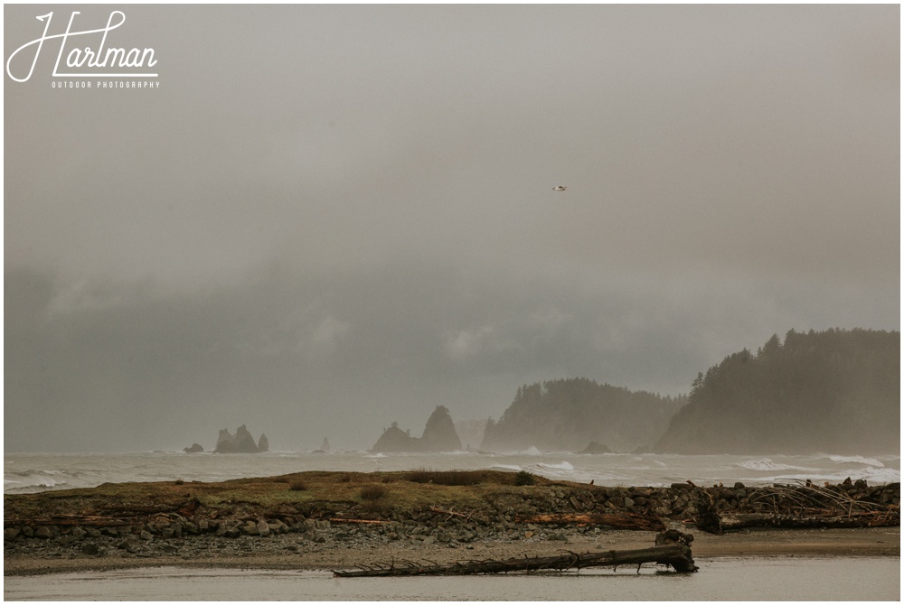 Olympic Peninsula La Push Wedding Photographer 270