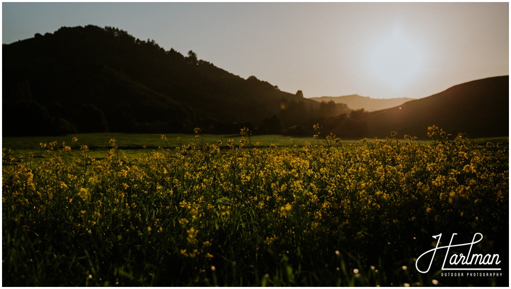 Point Reyes Seashore Wedding Elopement Engagement_0001