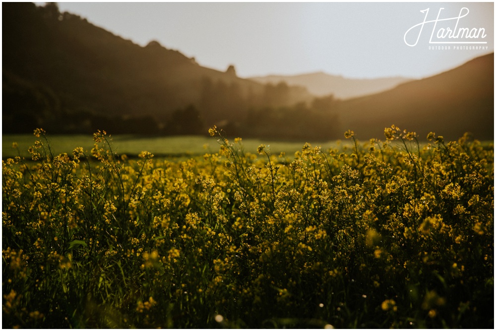 Point Reyes Seashore Wedding Elopement Engagement_0004