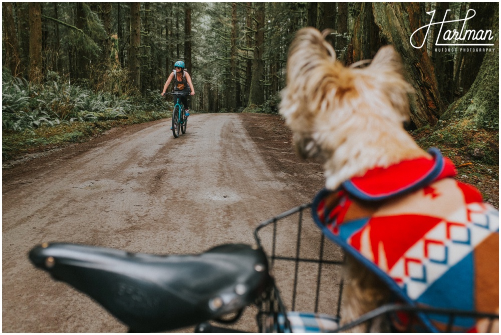 Redwood Forest Wedding Elopement Photographer_0011